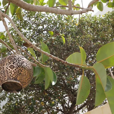 Panormos Apartments *