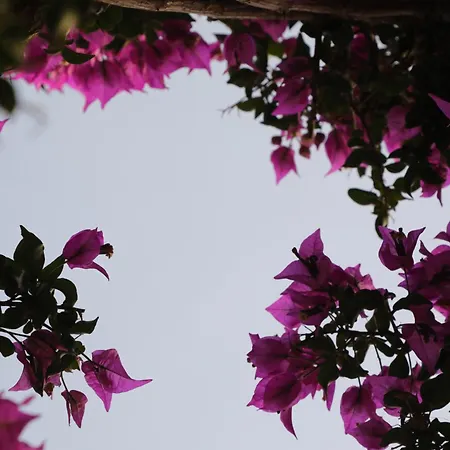 Panormos Apartments 아파트 Pánormos