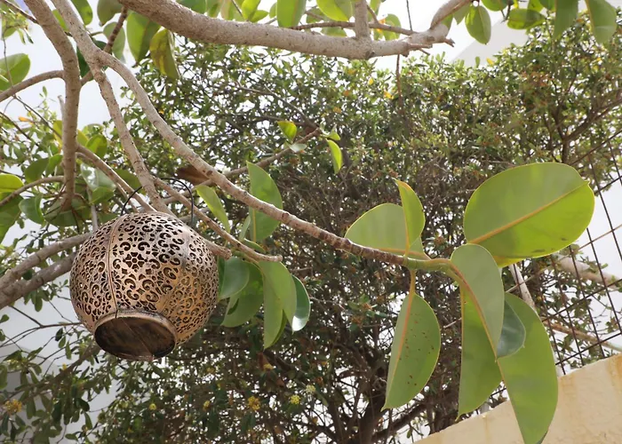 Panormos Apartments *