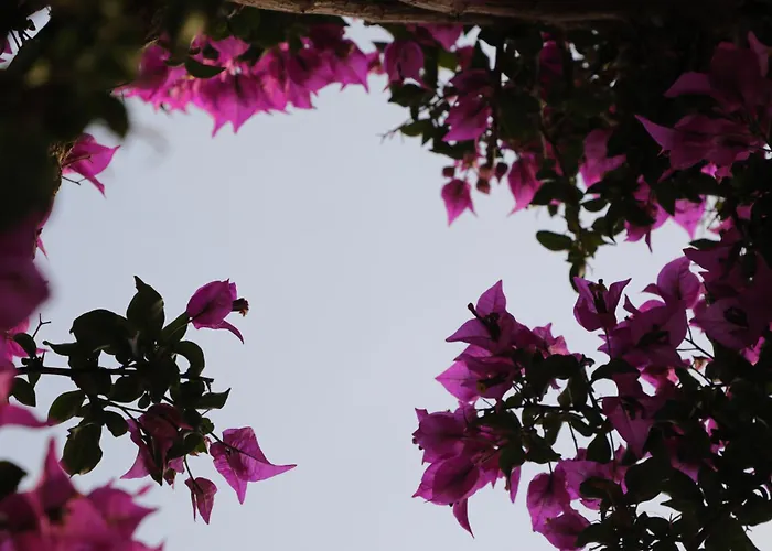 Panormos Apartments 아파트 Pánormos